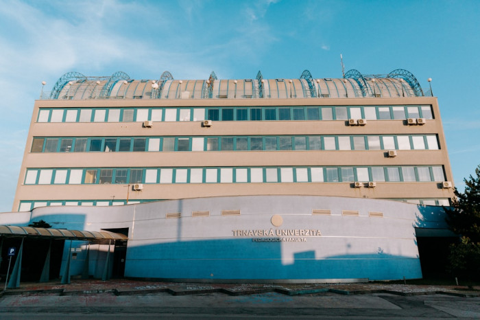 6. Sınıf 2. Dönem İngilizce Sınavı Cevap Anahtarları