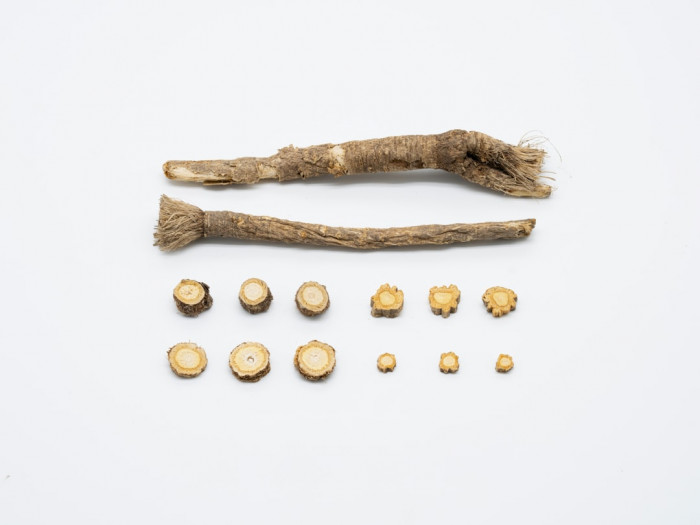 8. Sınıf İngilizce 1. Dönem Yazılı Sınavı Hazırlığı