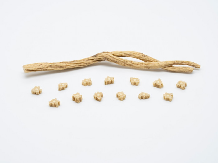 İstanbul Üniversitesi Hopes İngilizce Kursu